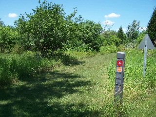 Unpaved Poplar Creek Trail